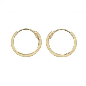 9ct Yellow Gold 10mm Sleeper Earrings ES151